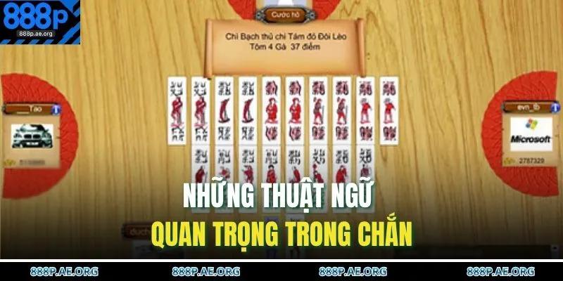 Những thuật ngữ quan trọng trong chắn