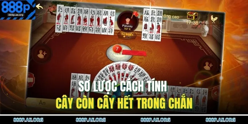Sơ lược cách tính cây còn cây hết trong chắn